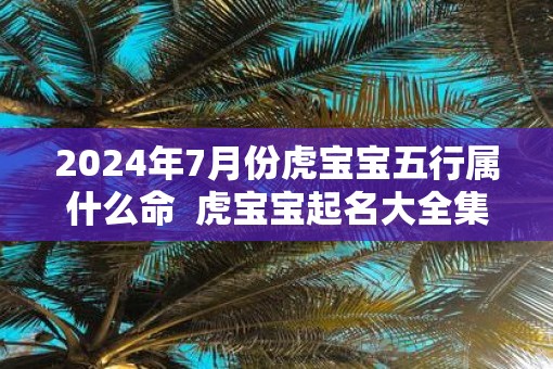 2025年7月份虎宝宝五行属什么命  虎宝宝起名大全集