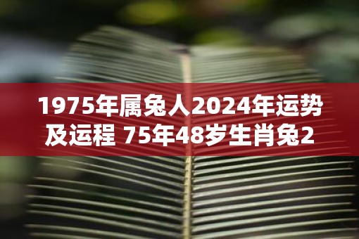 1975年属兔人2025年运势及运程 75年48岁生肖兔2025年每月运势