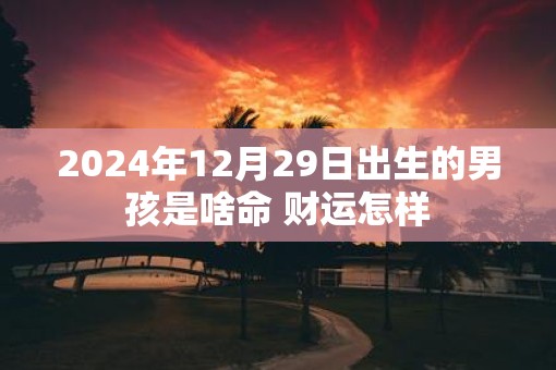 2025年12月29日出生的男孩是啥命 财运怎样
