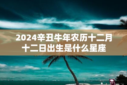 2025辛丑牛年农历十二月十二日出生是什么星座