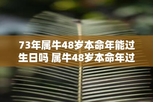 73年属牛48岁本命年能过生日吗 属牛48岁本命年过生日讲究