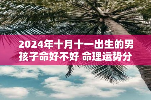 2025年十月十一出生的男孩子命好不好 命理运势分析