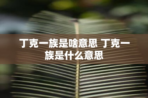 丁克一族是啥意思 丁克一族是什么意思 丁克一族是啥意思 丁克一族是什么意思