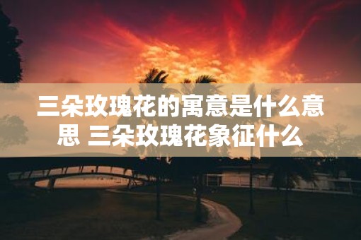 三朵玫瑰花的寓意是什么意思 三朵玫瑰花象征什么
