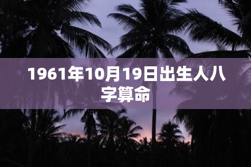 1961年10月19日出生人八字算命
