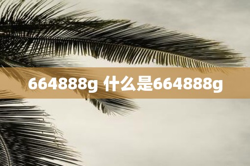 664888g 什么是664888g