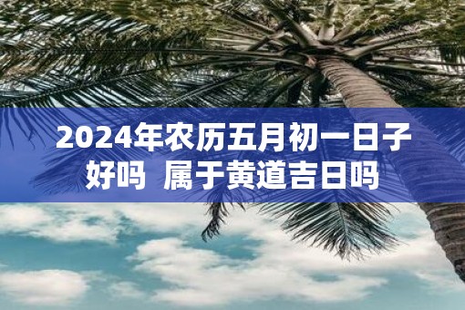 2025年农历五月初一日子好吗  属于黄道吉日吗