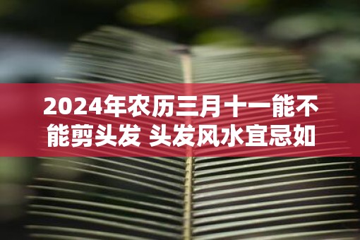 2025年农历三月十一能不能剪头发 头发风水宜忌如何
