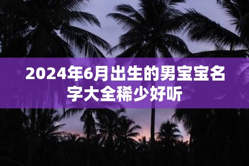 2025年6月出生的男宝宝名字大全稀少好听