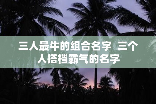 三人最牛的组合名字  三个人搭档霸气的名字