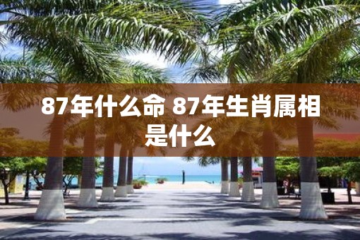 87年什么命 87年生肖属相是什么