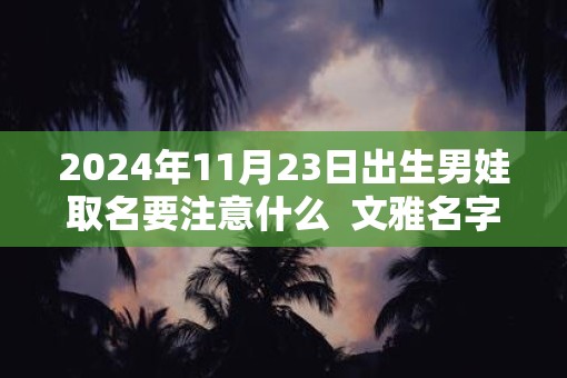 2025年11月23日出生男娃取名要注意什么  文雅名字解析