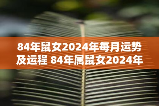 84年鼠女2025年每月运势及运程 84年属鼠女2025年全年运势如何