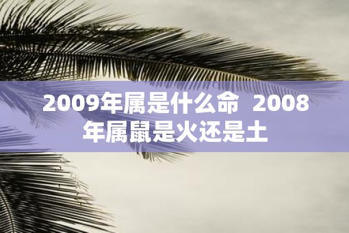 2009年属是什么命  2008年属鼠是火还是土
