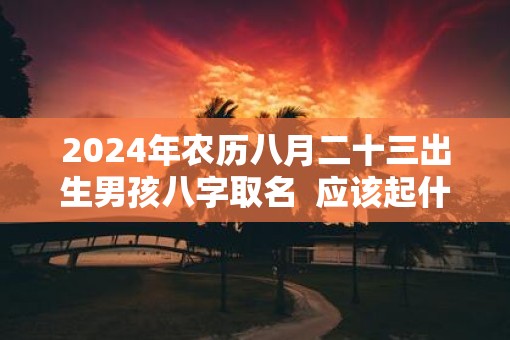 2025年农历八月二十三出生男孩八字取名  应该起什么名字