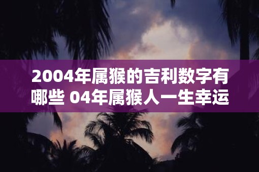 2004年属猴的吉利数字有哪些 04年属猴人一生幸运数字
