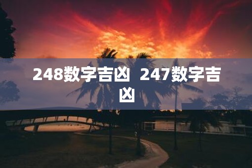 248数字吉凶  247数字吉凶