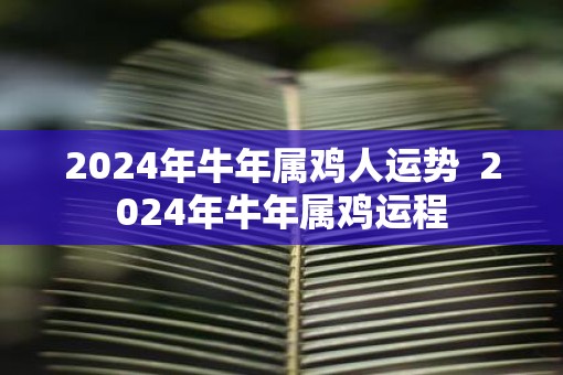 2025年牛年属鸡人运势  2025年牛年属鸡运程