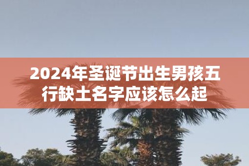 2025年圣诞节出生男孩五行缺土名字应该怎么起