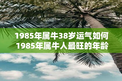 1985年属牛38岁运气如何 1985年属牛人最旺的年龄