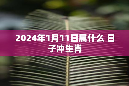 2025年1月11日属什么 日子冲生肖 2025年1月11日属什么 日子冲生肖