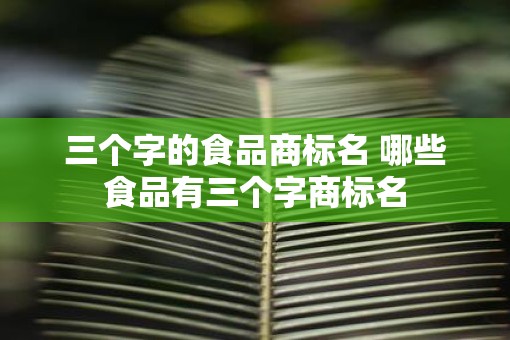 三个字的食品商标名 哪些食品有三个字商标名