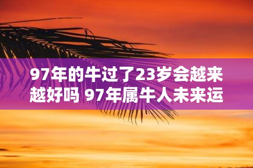 97年的牛过了23岁会越来越好吗 97年属牛人未来运势