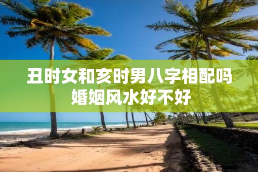 丑时女和亥时男八字相配吗 婚姻风水好不好