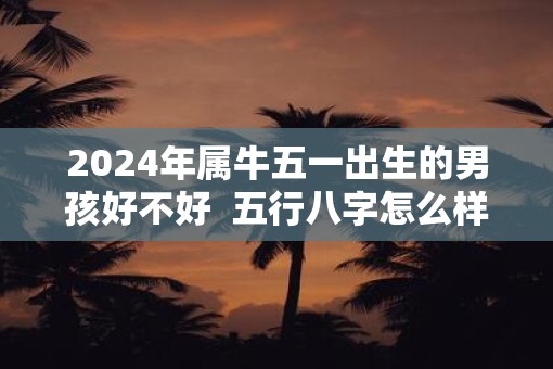 2025年属牛五一出生的男孩好不好  五行八字怎么样