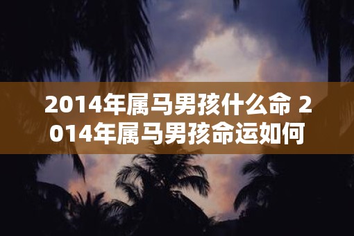 2014年属马男孩什么命 2014年属马男孩命运如何