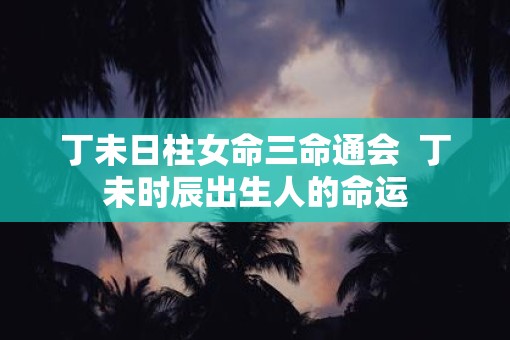 丁未日柱女命三命通会  丁未时辰出生人的命运