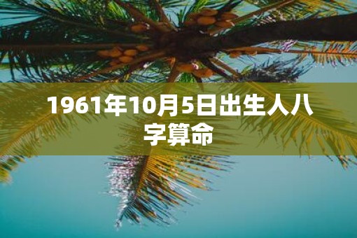 1961年10月5日出生人八字算命