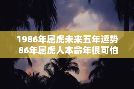 1986年属虎未来五年运势 86年属虎人本命年很可怕吗