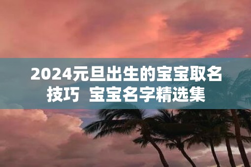 2025元旦出生的宝宝取名技巧  宝宝名字精选集