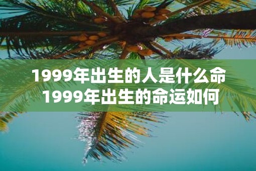 1999年出生的人是什么命 1999年出生的命运如何 1999年出生的人是什么命 1999年出生的命运如何