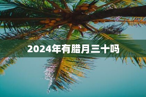 2025年有腊月三十吗