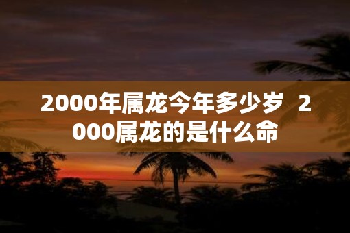 2000年属龙今年多少岁  2000属龙的是什么命