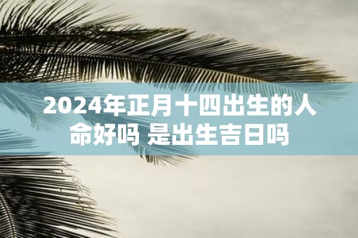 2025年正月十四出生的人命好吗 是出生吉日吗