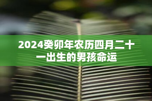 2025癸卯年农历四月二十一出生的男孩命运
