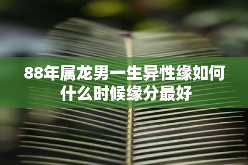 88年属龙男一生异性缘如何 什么时候缘分最好