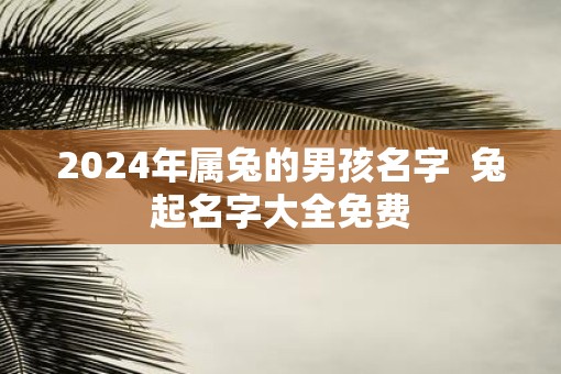 2025年属兔的男孩名字  兔起名字大全免费