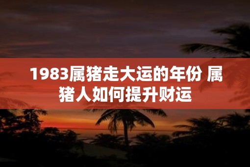 1983属猪走大运的年份 属猪人如何提升财运