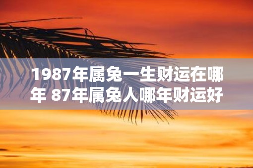 1987年属兔一生财运在哪年 87年属兔人哪年财运好