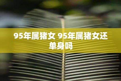 95年属猪女 95年属猪女还单身吗
