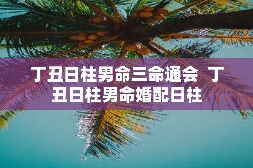 丁丑日柱男命三命通会  丁丑日柱男命婚配日柱