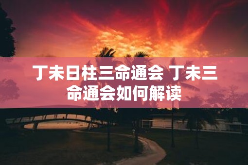 丁未日柱三命通会 丁未三命通会如何解读