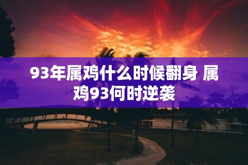 93年属鸡什么时候翻身 属鸡93何时逆袭