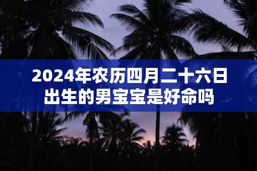2025年农历四月二十六日出生的男宝宝是好命吗