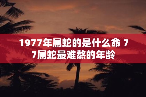 1977年属蛇的是什么命 77属蛇最难熬的年龄