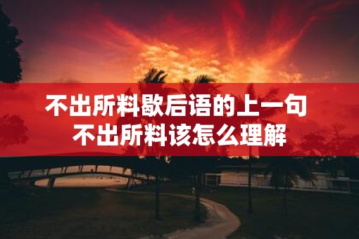 不出所料歇后语的上一句 不出所料该怎么理解